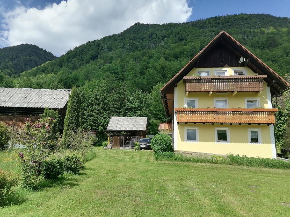 Apartment House Andrej 博希尼 外观 照片