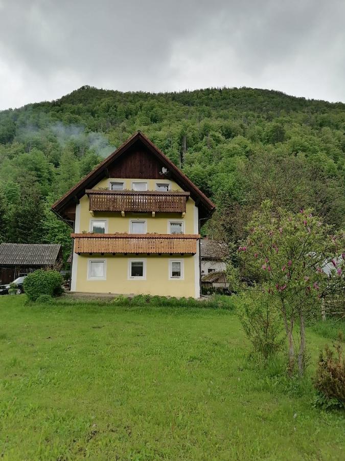 Apartment House Andrej 博希尼 外观 照片