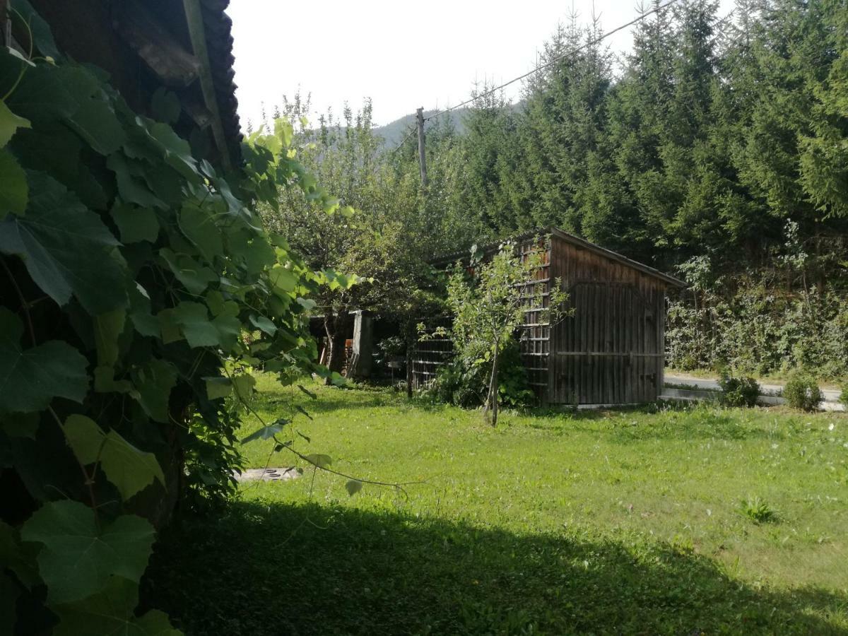 Apartment House Andrej 博希尼 外观 照片